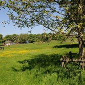 Midsummer Common