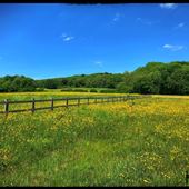 Meadow Underriver