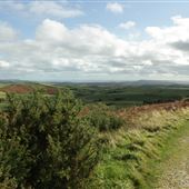 Blackdown Country Park