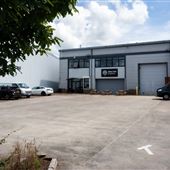 Nine Tree Studios