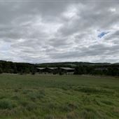 Ox Farm
