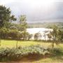 Baldwins Farm