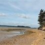 NT - Brownsea Island