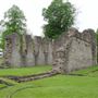 Priory Ruins