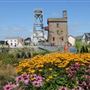 Heartlands Cornwall