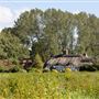 Moors Wood Farm