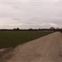 Cressing Temple
