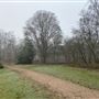 Shackleford Heath