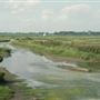 Havergate Island Nature Reserve