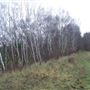 Narborough Railway Line Nature Reserve