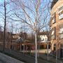 Theatre Street