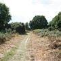 Rushmere Heath (Including Golf Club)