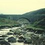 Surrender Bridge