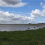 Paull Holme Strays