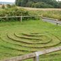 Troy Maze