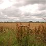 Country Road - Malton