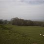 NT - Dovers Hill