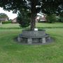 Scorton Park Bench