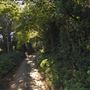 Waterend Lane