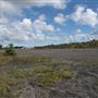 Wardley Pit Tip
