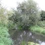 River Colne