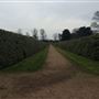 Castle Bromwich Hall Gardens