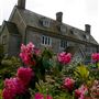 Great Comp Garden