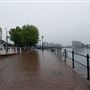 Tree-Lined Walkway, Salford Quays