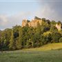 NT - Dunster Castle
