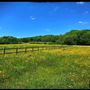 Meadow Underriver