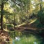 Yeovil Country Park