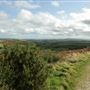 Blackdown Country Park