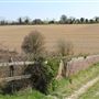 Long Ear Farm