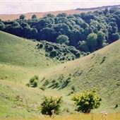 Barton Hills