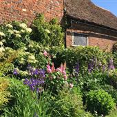 Harlington Manor