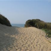 Camber Sands