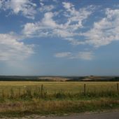 Butser Hill SDNP