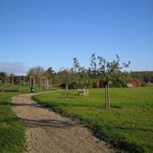 Ardleigh Millennium Green