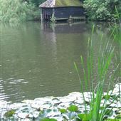 Inholms Copse