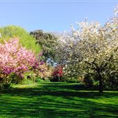 Highdowns Gardens