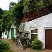 NT - Kinver Edge
