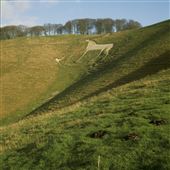 NT - Cherhill White Horse