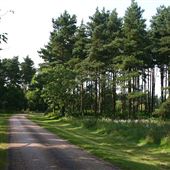 High Lodge - Thetford Forest Park