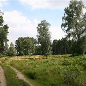 Croxton Heath