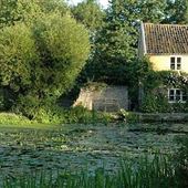 Micklemere Nature Reserve