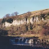 Wain Wath Force