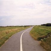 Kings Road Chalets