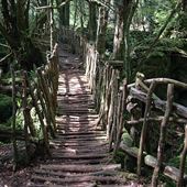 PUZZLEWOOD