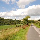 Old Mill Lane