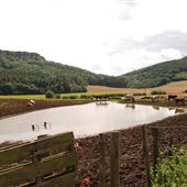 Sutton Bank Layby View